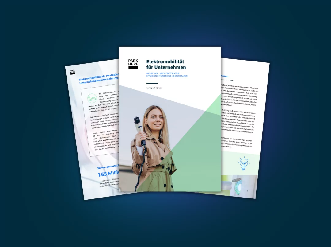 White Paper Elektromobilität_groß White Paper Electromobility for Companies