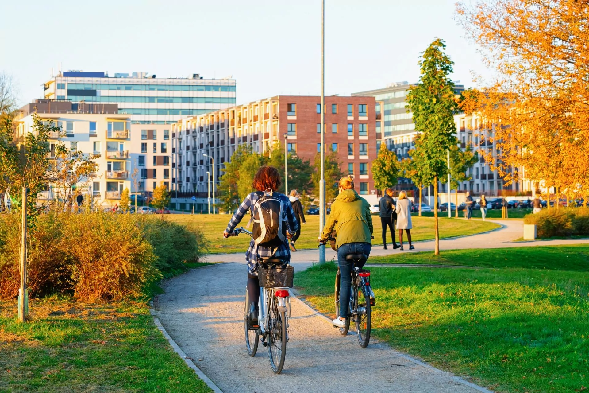 Fahräder im Park